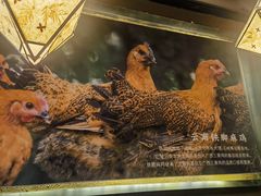 -云海肴·汽锅鸡·云南代表菜(天津国金汇店)