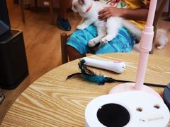 -猫咪派对(江南西店)