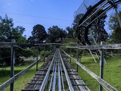 -清迈丛林飞跃 JungleFlight