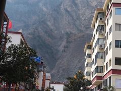 -金鼎雪山牦牛杂火锅(理县总店)