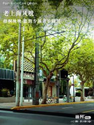 -巍阁高端月子会所