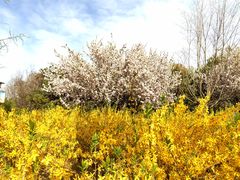 -大兴滨河森林公园