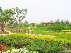 -白塘生态植物园