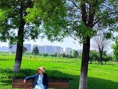 -汉长安城未央宫国家考古遗址公园