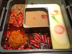菌汤-巴奴毛肚火锅(商城路店)