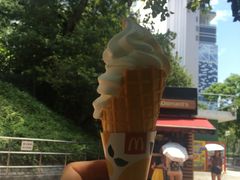 -九龙公园