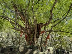 -青檀寺景区