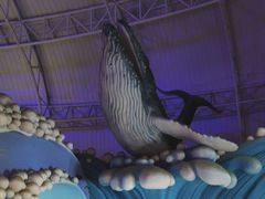 -烟台海昌鲸鲨海洋公园