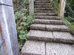 -水濂山森林公园