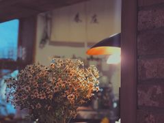 -春庄咖啡SpringHues(钟楼小区店)