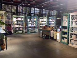 -保丽宝泰母婴护理院·月子中心·产康·中医(常州店)