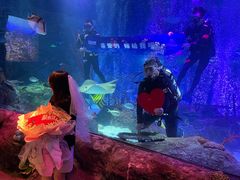 -沈阳海洋探索中心