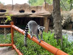 -北京野生动物园