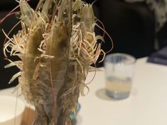 -阳光码头海鲜火锅(玉立路店)
