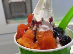 -Salud撒露欧洲冻酸奶(蓝色港湾店)