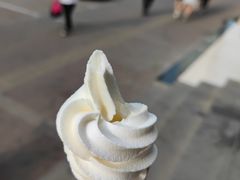 -蜜雪冰城(陆家嘴店)