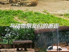 -深圳野生动物园