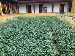 -重元寺香积厨素斋馆