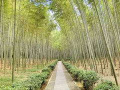 -大奇山国家森林公园