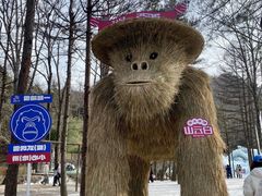 -洛阳白云山景区