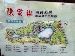 -陈家山荷花公园