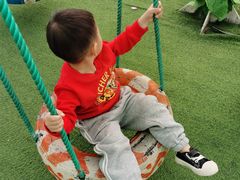-麻涌飞鸭开心农场