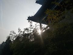 -关林