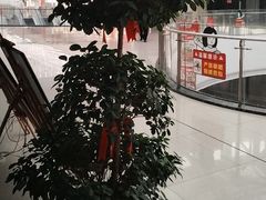 -偶屋里钵少爷(时代广场店)