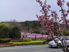 -棒棰岛宾馆景区