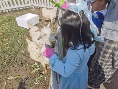 -前小桔亲子创意农场·草莓采摘·露营烧烤