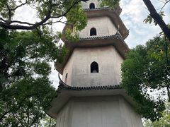 -江心屿景区
