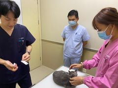 -爱妮康宠物医院·干细胞免疫细胞·肿瘤·心脏(张江店)