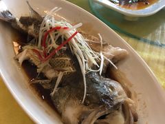 -胖大姐黄辣丁鱼庄(新津店)