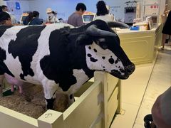 -红星前进面包牛奶公司(君太店)