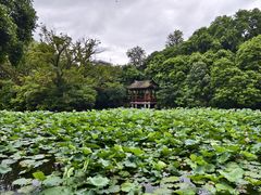 -西湖公园(鼓楼区)