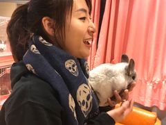-藦茜花园宠物主题亲子互动体验馆(国顺东路店)