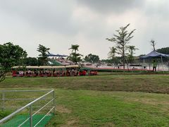 -长洲岛都市农业公园