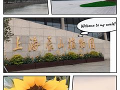 -上海辰山植物园