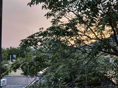 -蘇河湾·新鲁菜·泰山宴(泰山店)