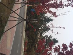 -沈阳职业技术学院