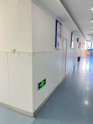 -温州伯思立医院