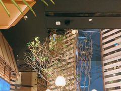 -桂满陇·海市蜃楼·黑金(国金店)