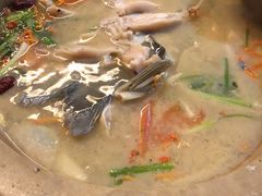 -抚仙湖生态石锅鱼野生菌(告庄店)
