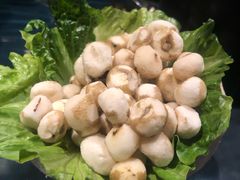 小马蹄-凤园椰珍·臻品椰子鸡(保利时光里店)
