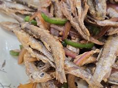 -银峰农庄·特色烧鸡·鲜无花果浸鸡