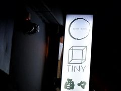 -TINY