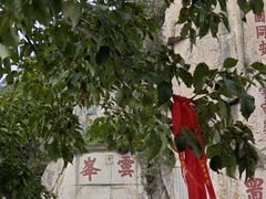 -泰山风景名胜区