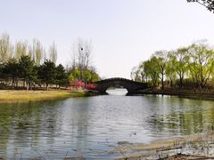 -大兴滨河森林公园