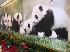 -成都驻京办餐厅(蜀都宾馆店)