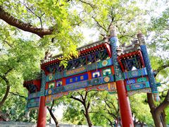 -北京国子监胡同